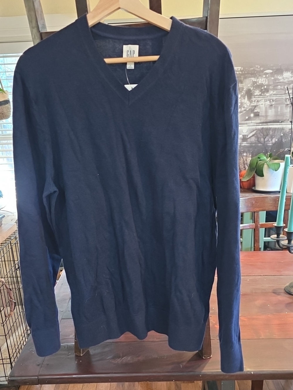 GAP Men’s Navy Blue V-Neck Sweater